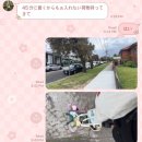 울리독 | [호주 워홀] #65 | 집도 구하고 잡도 구한 10월 💋