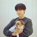 봉구 이미지