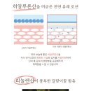 엔바이오 이미지