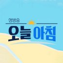 팍종이 아트 | 뚫고 벽보가 무슨 죄, 선거철 노쇼 사기 기승, 종이접기로 순수익 연 7천만 원, 새벽에도 과태료 스쿨존...