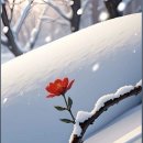 좋은문구 이미지