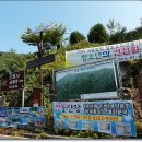 *2013.08.11..갓바위,,전남 광양 형제봉(861.3)m 산행 이미지
