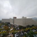 호박게임장 | 경주 켄싱턴리조트 주니어 스위트 리모델링 룸 숙박, 조식 후기