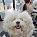 뚜니살롱 이미지