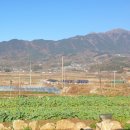 파니 게스트하우스 이미지