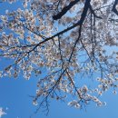 낙동강변로3-3 이미지