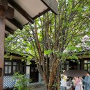 카페 오가닉 이미지