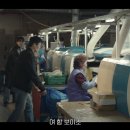 태풍상회