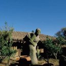 표선리-34 이미지