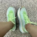 메이비굿컴퍼니 | 굿러너컴퍼니에서 호카 마하X