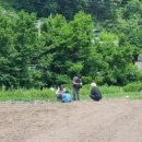 청산양봉원 이미지