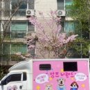 멍즈니랜드 이미지