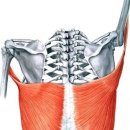 준피티샵 이미지