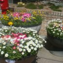 안흥면행정복지센터 이미지