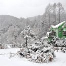 엔젤드림 이미지