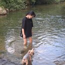 문장로-6 이미지