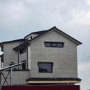 익산 신상 애견카페 '파인트리' 방문 후기 | 넓은 잔디 운동장에서 마음껏 뛰어노는 힐링 공간 🐶🌲