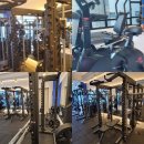 전주 신시가지 pt샵 매매합니다 이미지