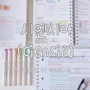 시엔시아 네이버블로그