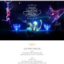 찬스정보통신 | 제주 동쪽 | 30대 중반이 3살처럼 놀고왔던 아쿠아플라넷(할인정보, 프로그램 일정, 오션 아레나 후기)