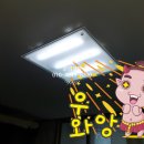 대화전업사