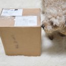 에어벳동물병원 이미지