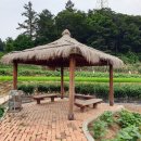 화동공원 이미지