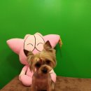 연성동주민센터 이미지