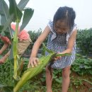 초가집 농장 이미지