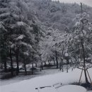 해미레 이미지