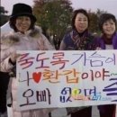 안티프리즈 - 31155 | 안티프리즈