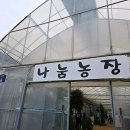 아이와 함께 즐기는 자연 체험, 파주 나눔농장 방문기!