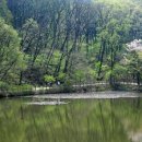 수목원약수터 이미지