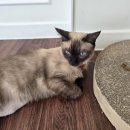 몽 듀 로투스(Mont du Lotus) | 연산동 몽 듀 로투스(Mont du Lotus) 후기