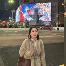 미리 메리 크리스마스(버뮬라, 스프링크로커스, 파사도 망원, 레이브, 비비안웨스트우드, 스토케 트립...