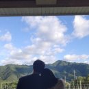 보르도애플스테이 이미지