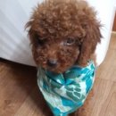 경북가축병원 이미지