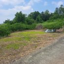 대봉부동산중개 이미지