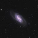 사자자리의 NGC 2903: Messier의 목록에 없는 최고의 은하? 이미지