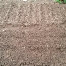 일구농장 이미지