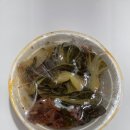 원조소문난뼈해장국 이미지