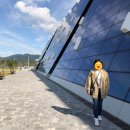 여운창 | 전남도립미술관 이건희 특별전! RM도 다녀온 핫한 전시 후기