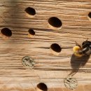 해시호텔 이미지