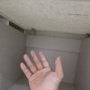 세종의 아침 태권도(집현관) | 세종 입주청소 후기, 아이 있는 집은 꼭 읽어보세요.