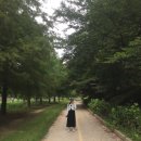 산덕리 | 30주차 태교여행 | 담양 2박 3일 힐링코스 후기 2