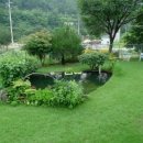 연못민박 이미지