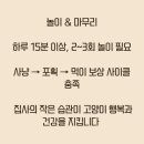 고양이라서 행복해 이미지