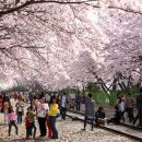 진해중앙시장입구 이미지