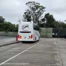 뉴대한여행사 | 할인 받고 코알라 엉덩이 만지기🐨 (1) | 대한관광여행사 투어 후기 | 샌드보딩 돌핀크루즈 오크베일...