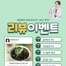동상동 청년몰 이미지